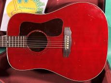 Guild D-25 CH_2