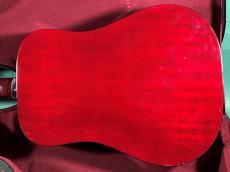 Guild D-25 CH_3