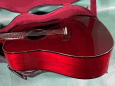 Guild D-25 CH_4
