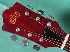 Guild D-25 CH_5