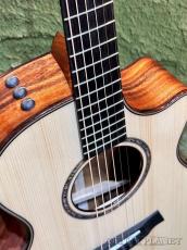 Taylor 【Top Japan Retailer Fair】【実機動画あり】Custom 712ce -Adirondack Spruce- #1205215103_3
