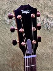 Taylor 【Top Japan Retailer Fair】【実機動画あり】Custom 712ce -Adirondack Spruce- #1205215103_4