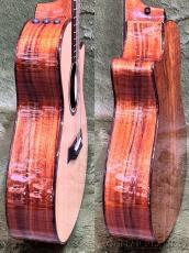 Taylor 【Top Japan Retailer Fair】【実機動画あり】Custom 712ce -Adirondack Spruce- #1205215103_9