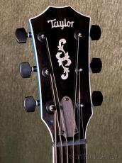 Taylor 【Top Japan Retailer Fair】614ce LTD Big Leaf Maple -Aquamarine- #1203125063【48回迄金利0%対象】_4