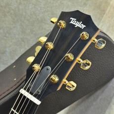 Taylor 【試奏動画あり】224ce-K DLX #2203196552【華やかなコアサウンド・天然木の個性光る一本】_3