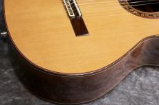 Jose Ramirez  【USED】Estudio 140 CWE 杉・ローズウッド 【2025年製】【美品】【至高のエレガット】【池袋店在庫品】_4