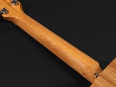 Taylor GS Mini-e Mahogany_9
