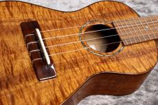 Famous FC-500 Premium  個体番号2 【コンサート】【プレミアムモデル】【現物写真】【池袋在庫品】_3