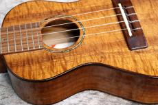 Famous FC-500 Premium  個体番号2 【コンサート】【プレミアムモデル】【現物写真】【池袋在庫品】_6