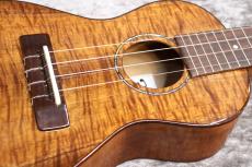 Famous FC-500 Premium  個体番号1 【コンサート】【プレミアムモデル】【現物写真】【池袋在庫品】_3