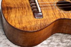 Famous FC-500 Premium  個体番号1 【コンサート】【プレミアムモデル】【現物写真】【池袋在庫品】_4