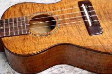 Famous FC-500 Premium  個体番号1 【コンサート】【プレミアムモデル】【現物写真】【池袋在庫品】_6