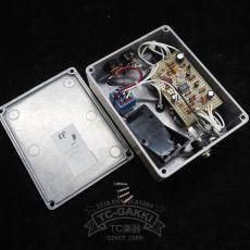 Blackberry JAM Hand Made Pedals Vanilla_5