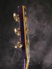 YAMAHA SG2000DP_8