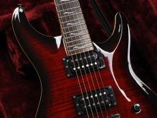 FUJIGEN EEL FM EX BCS ~Black Cherry Sunburst~ -Expert ELAN -_4