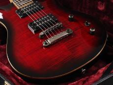 FUJIGEN EEL FM EX BCS ~Black Cherry Sunburst~ -Expert ELAN -_6