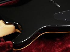 FUJIGEN EEL FM EX BCS ~Black Cherry Sunburst~ -Expert ELAN -_11