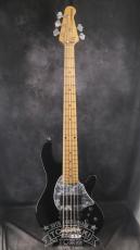 Lakland 2010 SL55-94 Mod. Shoreline Series_2
