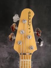 Lakland 2010 SL55-94 Mod. Shoreline Series_3