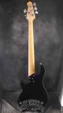 Lakland 2010 SL55-94 Mod. Shoreline Series_7