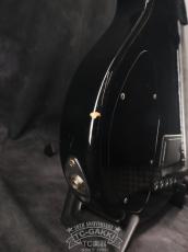Lakland 2010 SL55-94 Mod. Shoreline Series_11