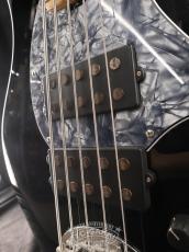 Lakland 2010 SL55-94 Mod. Shoreline Series_13
