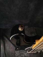 Lakland 2010 SL55-94 Mod. Shoreline Series_14