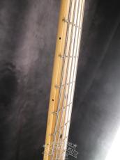 Lakland 2010 SL55-94 Mod. Shoreline Series_15
