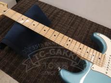 Fender Mexico Player Stratocaster HSS_16