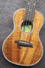 Big Island KX-CTG #260028【コンサート】【ハワイアンコア単板】【選定品】【池袋店在庫品】