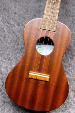 Famous FC-1G【コンサート】【マホガニー】【池袋店在庫品 】