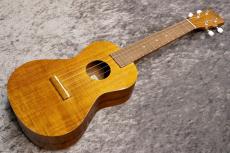 Famous FC-5G【コンサート】【ハワイアンコア】【池袋店在庫品 】_2