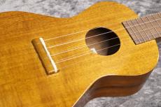 Famous FC-5G【コンサート】【ハワイアンコア】【池袋店在庫品 】_3