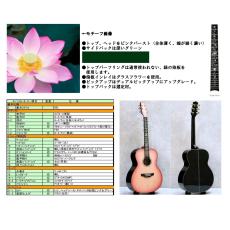 Takamine 【受注生産】700 CTM 蓮の花(ハスノハナ)_2