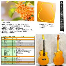Takamine 【受注生産】700 CTM 金木犀(キンモクセイ)【複雑な虎杢のメイプル】_2