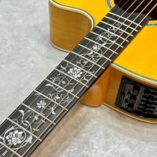 Takamine 【受注生産】700 CTM 金木犀(キンモクセイ)【複雑な虎杢のメイプル】_10
