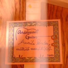 Andalusian Guitars 受注製作商品 / 渡辺香津美氏 使用・同一モデル 　アンダルシアンギター　Marcelo Barbero 1948 / Cut-Away w/ Carlos Pick Up_16