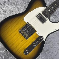 FUJIGEN Neo Classic NTE210RAH-2TS ~2Tone Sunburst~ #C250243 [3.6kg]_2
