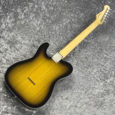 FUJIGEN Neo Classic NTE210RAH-2TS ~2Tone Sunburst~ #C250243 [3.6kg]_10