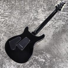 Paul Reed Smith [PRS] SE Custom 24 Quilt ~Amethyst~ #CTI H085433 [3.41kg][2025年製]_11