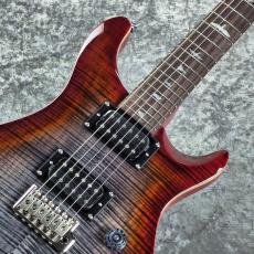 Paul Reed Smith [PRS] SE Custom 24 ~Charcoal Cherry Burst~ #CTI H024543 [3.29kg][2025年製]_2