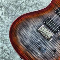 Paul Reed Smith [PRS] SE Custom 24 ~Charcoal Cherry Burst~ #CTI H024543 [3.29kg][2025年製]_3