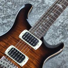 Paul Reed Smith [PRS] SE Custom 24 ~Black Gold Sunburst~ #CTI I020604 [3.44kg][2026年製]_2