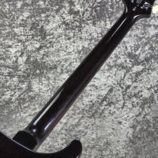 Paul Reed Smith [PRS] SE Custom 24 ~Black Gold Sunburst~ #CTI I020604 [3.44kg][2026年製]_8