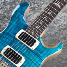 Paul Reed Smith [PRS] SE Custom 24 ~Blue Matteo~ #CTI H090976 [3.44kg][2025年製]_2