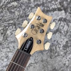 Paul Reed Smith [PRS] SE Custom 24 ~Blue Matteo~ #CTI H090976 [3.44kg][2025年製]_6