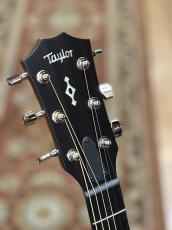 Taylor 【再入荷 ! / 最新仕様!】414ce Next Generation_8
