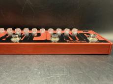 Tech 21 RK5 FLY RIG V1 Richie Kotzen Signature_4