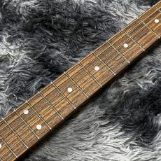 Black Smoker Standard Series Futura-S FL HH Monky Pod Top,Fiji Mahogany Back【国産ハイエンド】【2025年製】_5