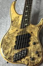 DINGWALL Z3 5st "Passive"【4.01kg】
